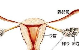 泰国做试管婴儿价格明细，为您精打细算