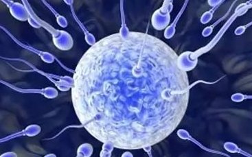 盘点青海正规民营试管助孕机构，2026青海助孕生子费用详细说明