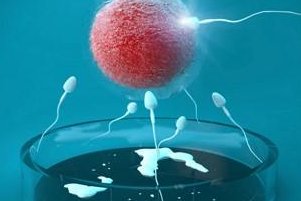 西南医科附属医院可以做三代试管婴儿吗？费用高吗？