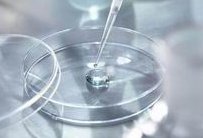 辽宁生试管婴儿医院排名TOP 5，成功率与费用解析，助你选择